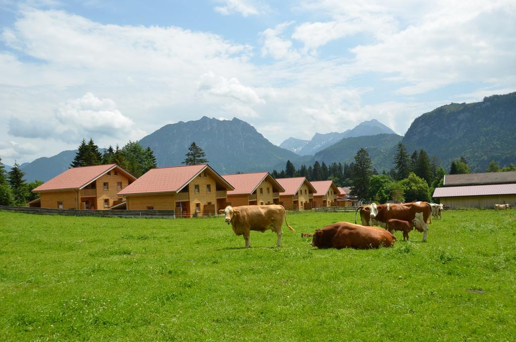 Feriendorf Am Hahnenkamm Reutte Exterior photo